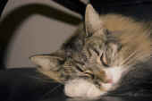 Athina_200611_1.jpg (100702 Byte)