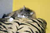 Athina_200611_3.jpg (116956 Byte)