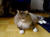 athina_1,5j_1.jpg (284834 Byte)