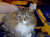 athina_1,5j_2.jpg (146416 Byte)