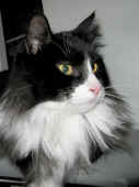 boris_060625_12.jpg (122641 Byte)
