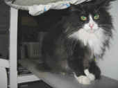 boris_060625_8.jpg (103548 Byte)