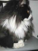 boris_060625_9.jpg (118552 Byte)