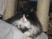 boris_120733_12.jpg.jpg (165384 Byte)