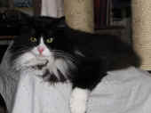 boris_120733_4.jpg.jpg (157042 Byte)