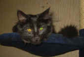 baloo_4,5mo_3.jpg (100652 Byte)