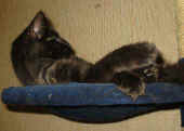 baloo_4,5mo_4.jpg (108422 Byte)