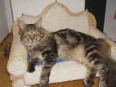 barney_0905_1.JPG (71942 Byte)