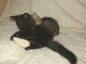 bonnie_12wo_1.jpg (105125 Byte)