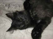 bonnie_5mo_1.jpg (97615 Byte)