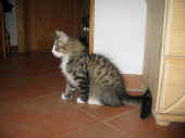 12Camillo_116T_2.JPG (200226 Byte)