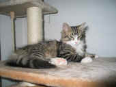 13Camillo_117T_3.JPG (213407 Byte)