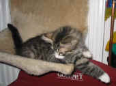 camillo_3mo_2.jpg (106876 Byte)