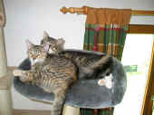 camillo_7mo_2.jpg (76158 Byte)