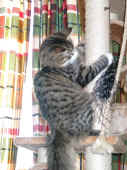 camillo_7mo_4.jpg (179558 Byte)