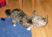 camillo_7mo_6.jpg (84981 Byte)