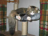 camillo_8mo_5.jpg (307982 Byte)