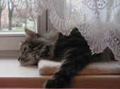 1cosmo_4j_1.jpg (122373 Byte)
