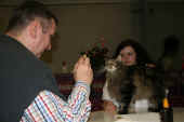5cosmo_ausst_2011_1.jpg.jpg (183601 Byte)