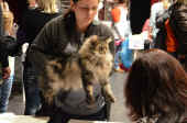7cosmo_bratislava_130316_1.jpg (85247 Byte)