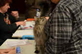 8cosmo_bratislava_130316_2.jpg (89631 Byte)