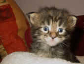 delilah_24t_6.jpg (97506 Byte)