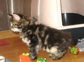 delilah_53t_5.jpg (124572 Byte)