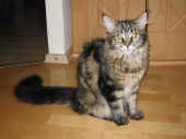 delilah_6mo_3.jpg (116806 Byte)