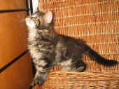 delilah_8wo_2.jpg (116672 Byte)