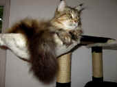 2daisy_080920_2.jpg.jpg (133677 Byte)