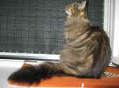 daisy_060810_1.jpg (180661 Byte)