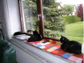 1dime_Trixi_mausi_070504_4.JPG (207699 Byte)