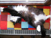 2dime_070701_1a.JPG (194013 Byte)