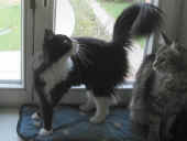 4dime_100404_2.jpg (98298 Byte)