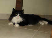 5dime_090123_2.jpg.jpg (100232 Byte)