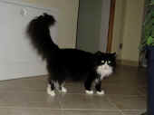 6dime_090123_4.jpg.jpg (91847 Byte)