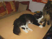 dime20051201_33mo_11.jpg (85497 Byte)