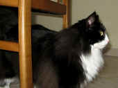 dime_080317_5.jpg.jpg (119034 Byte)
