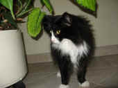 dime_090123_3.jpg.jpg (116865 Byte)