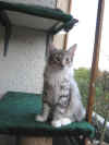 2elias_4mo_4.jpg (151474 Byte)