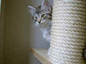 30elias_47t_16.jpg (100844 Byte)