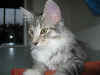 3elias_4mo_10.jpg (110303 Byte)