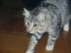 4elias_5mo_3.jpg (135726 Byte)