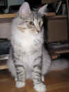 5elias_5mo_4.jpg (147265 Byte)