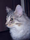 6elias_5mo_5.jpg (114358 Byte)