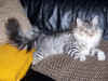 7elias_8mo_1.jpg (67328 Byte)