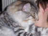 8elias_8mo_2.jpg (43184 Byte)
