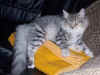9elias_8mo_3.jpg (44928 Byte)