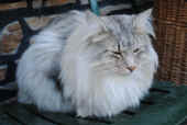 elias_091225_1.jpg.jpg (119429 Byte)