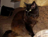 easy_110213_1.jpg.jpg (150502 Byte)